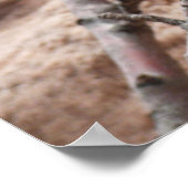 Poster Les fleurs du printemps sur les rochers de Sion (Coin)