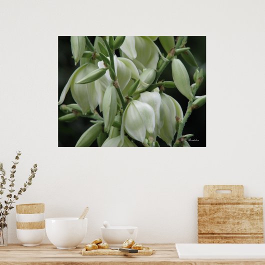 Poster Les fleurs du Yucca (Cuisine)
