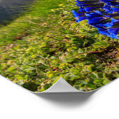 Poster Les fleurs et les montagnes de Clusius (Coin)