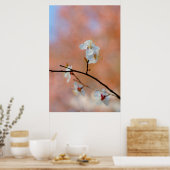 Poster Les fleurs japonaises d'abricot (Cuisine)