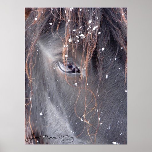 Poster Les flocons de neige sur Fell Pony (Devant)