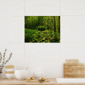 Poster Les fougères sauvages (Cuisine)