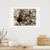 Poster Les fourmis. (Cuisine)