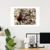 Poster Les fourmis. (Bureau à domicile)