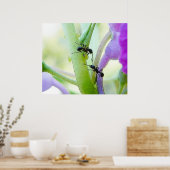 Poster Les fourmis dans mon Plante (Cuisine)