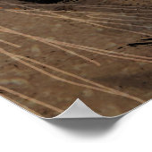 Poster Les fourmis de champignons (Coin)