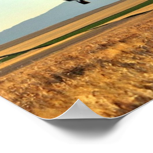 Poster Les fous n'ont aucune bonne intention (Coin)