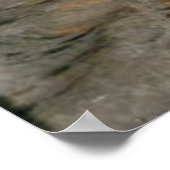 Poster Les funérailles d'un viking par Frank Bernard Dick (Coin)