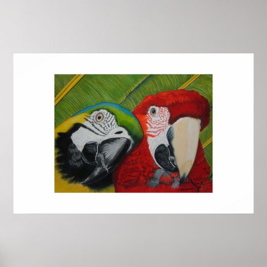 Poster Les garçons (Devant)