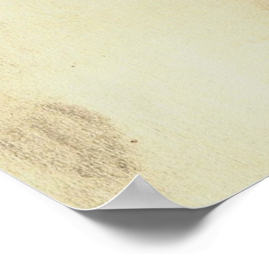 POSTER LES GARÇONS NEGRO (Coin)