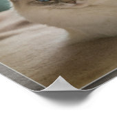 Poster Les gens vont regarder (Coin)