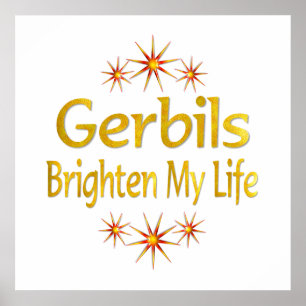 Poster Les gerbilles éclairent ma vie