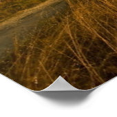 Poster Les girafes et le paysage (Coin)