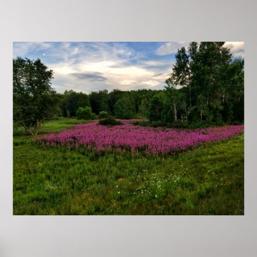 Poster Les gloires du Maine (Devant)