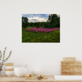 Poster Les gloires du Maine (Cuisine)