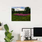 Poster Les gloires du Maine (Bureau à domicile)