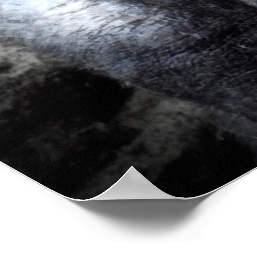 Poster Les gorilles de Silverback Mountain (Coin)