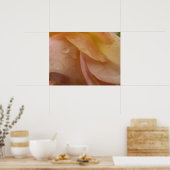 Poster Les gouttes de pluie sur les pétales Roses Peach F (Cuisine)