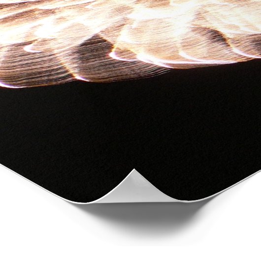 Poster Les gracieuses (Coin)