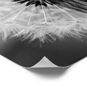 Poster Les graines de demain (Coin)