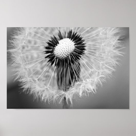 Poster Les graines de demain (Devant)