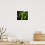 Poster Les grands arbres dans la nature (Cuisine)