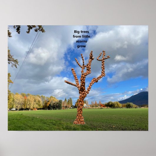 Poster Les grands arbres poussent à partir de petits glan (Devant)