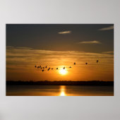 Poster Les Grands Hérons Au Coucher Du Soleil (Devant)
