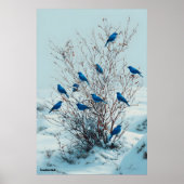 Poster Les grands-pains se rassemblent en hiver (Devant)