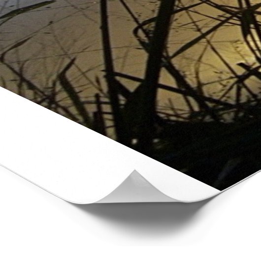 Poster Les Grass Withers (Coin)