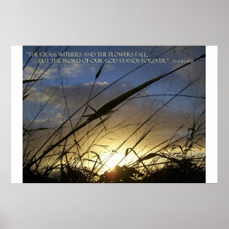 Poster Les Grass Withers