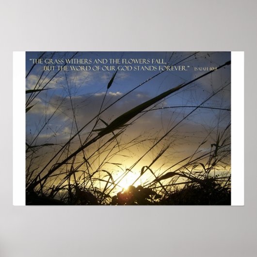 Poster Les Grass Withers (Devant)