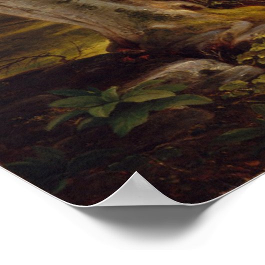 Poster Les hêtres (Coin)