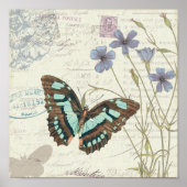 Poster Les histoires de Papillon (Devant)