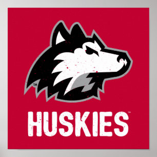 Poster Les Huskies de NIU en détresse