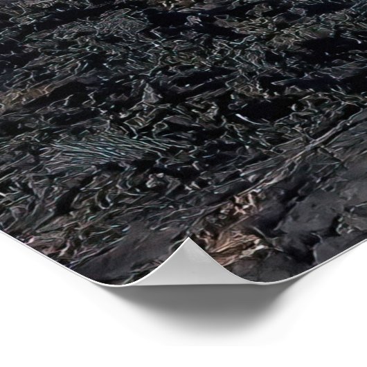 Poster Les îles Galapagos (Coin)