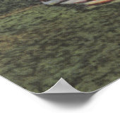 Poster Les Indiens du Nord-Ouest à la guerre (Coin)