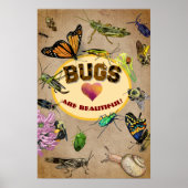 Poster Les insectes sont magnifiques ! (Devant)