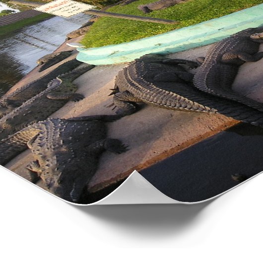 Poster Les intrus Seront Mangés ! (Coin)