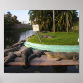 Poster Les intrus Seront Mangés ! (Devant)