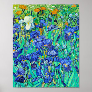 Poster Les Iris de Van Gogh