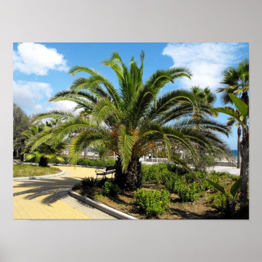 Poster Les jardins de Puerto Banus (Devant)