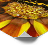 Poster Les jardins des papillons (Coin)