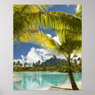 Poster Les jardins et les paysages du nouveau St. Regis d