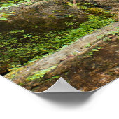 Poster Les jardins Kew (Coin)