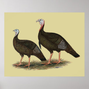 Poster Les Jeunes Filles de Turkeys