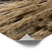 Poster Les lacs Camp Rae (Coin)