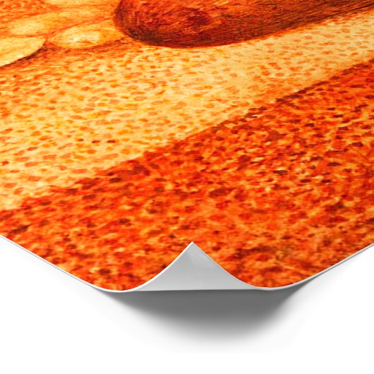 POSTER LES LÉMONS FRUITS DE SAISON ET LES FLEURS BLANCHES (Coin)