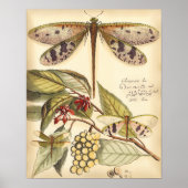Poster Les libellules aux Feuilles et aux fruits (Devant)