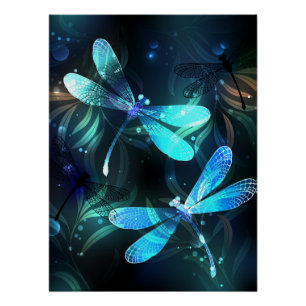 Poster Les libellules du lac